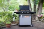 Plancha au gaz CAMPINGAZ Blue Flame EXLD