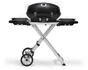 Barbecue au gaz NAPOLEON Travel Q, inox