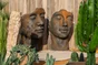 Visage pierre 1/2 rouille Femme, H.115 cm