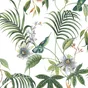 Papier peint intissé colibri tropical Adila, vert