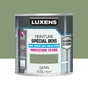 Peinture exterieure bois, mdf, osb Conditions extremes LUXENS vert provence sati