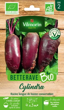 Graines de potager betterave cylindra bio VILMORIN 5 g