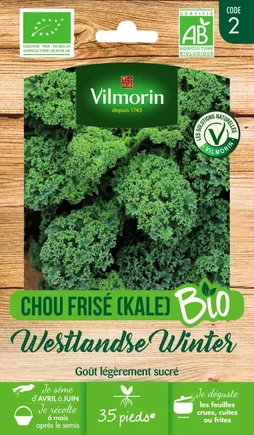 Graines de potager chou frise westlandse winter bio VILMORIN 1 g