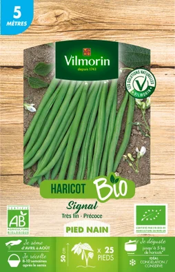 Graine potagère de haricot vert signal bio, VILMORIN, 20 g