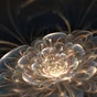 Plexiglass imprimé fleur de lumière ARTIS l.90 x H.90 cm