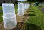 Lot de 3 rehausses pour cloches potagères à forcer MODUL'O