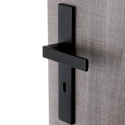 2 poignees de porte Nathan/loft trou de cle ALPERTEC, acier entraxe 195 mm