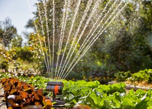 Pulvérisateur à oscillation GARDENA Aquazoom compact 18708-20