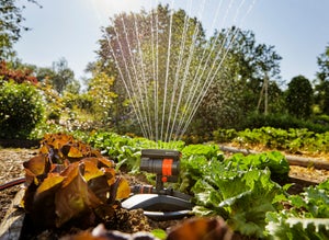 Pulvérisateur à oscillation GARDENA Aquazoom compact 18708-20