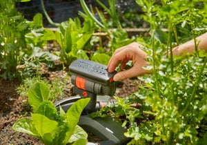 Pulvérisateur à oscillation GARDENA Aquazoom compact 18708-20