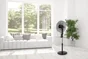 Ventilateur sur pied, THOMSON noir 60 W, D40 cm