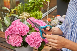 Kit d'arrosage avec goutteur intégré + programmateur solaire, GARDENA 13300-20