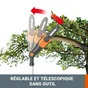 Elagueuse sur perche sur batterie WG349.9, WORX, 20 V guide de 20 cm