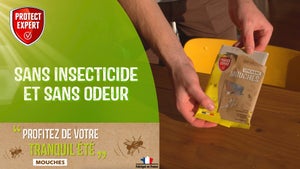Stickers antivolants fenêtre