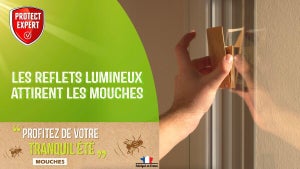 Stickers antivolants fenêtre