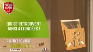 Stickers antivolants fenêtre