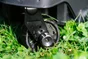Tondeuse STERWINS, 750 W, 20 V, l.33 cm