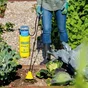 Pulvérisateur à pression produits acides GLORIA, 5 l