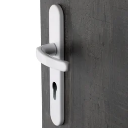 2 poignees de porte Baltic/beverly trou de cylindre ALPERTEC, aluminium entraxe 195 mm