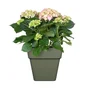 Pot polypropylène NATERIAL x l.29.5 x H.28 cm vert olive
