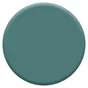 Peinture mur, boiserie crème de couleur DULUX VALENTINE eucalyptus satiné 0.5L