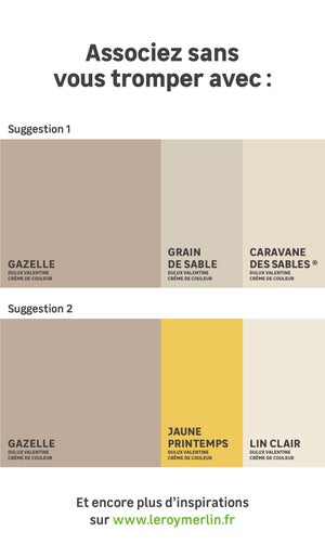 Peinture mur, boiserie crème de couleur DULUX VALENTINE gazelle satiné 0.5L