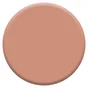Peinture mur, boiserie crème de couleur DULUX VALENTINE cuivre rose mat 0.5L
