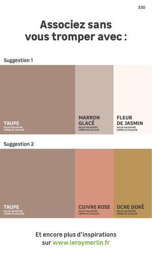 Peinture mur, boiserie crème de couleur DULUX VALENTINE taupe mat 0.5L