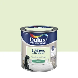 Peinture mur, boiserie Crème de couleur DULUX VALENTINE tendrement vert satiné 0.5 L