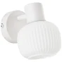 Spot salle de bain, nature, cristal blanc E14 max 20 W, BRILLIANT Laguna