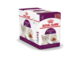 Pâtée chat ROYAL CANIN Sensory feel gravy, paquet de 12 sachets de 85G