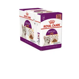 Pâtée chat ROYAL CANIN Sensory taste gravy, paquet de 12 sachets de 85G