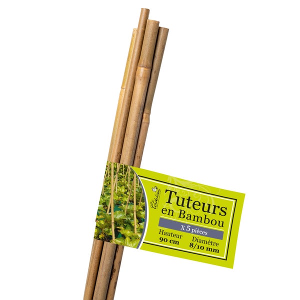 Lot de 5 tuteurs bambou droit et rond LA CORDELINE H.0.9 m