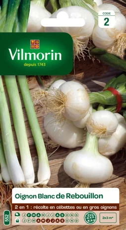Graines de potager oignon blanc de rebouillon VILMORIN 5 g
