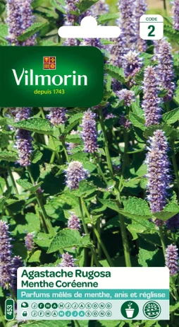 Graines florales agastache rugosa VILMORIN 1 g