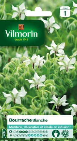 Graines bourrache blanc VILMORIN 1 g
