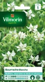 Graines bourrache blanc VILMORIN 1 g