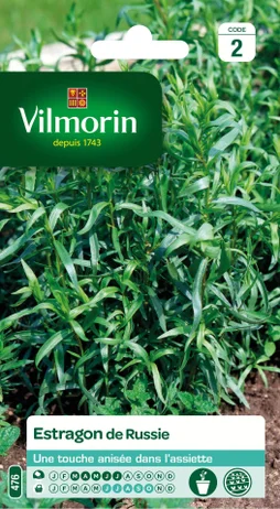 Graines aromatique estragon de russie VILMORIN 0.5 g