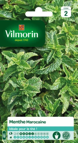Graine potagère de menthe marocaine, VILMORIN, 4 g