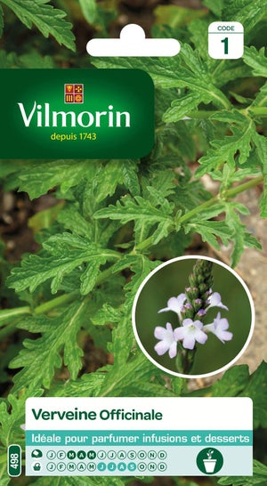 Graines aromatique verveine officinale VILMORIN 0.2 g