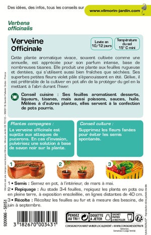 Graines aromatique verveine officinale VILMORIN 0.2 g