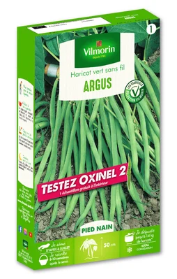 Graine potagère de haricot argus, VILMORIN, 110 g
