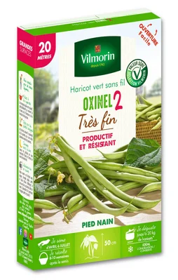 Haricot nain sans fil oxinel 2, VILMORIN, 138 g