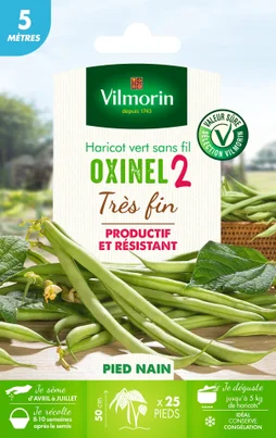 Graine potagère de haricot nain sans fil Oxinel 2, VILMORIN, 35 g