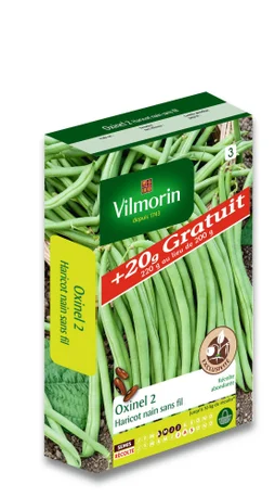 Graine potagère de haricot sans fil Oxinel 2, VILMORIN, 220 g