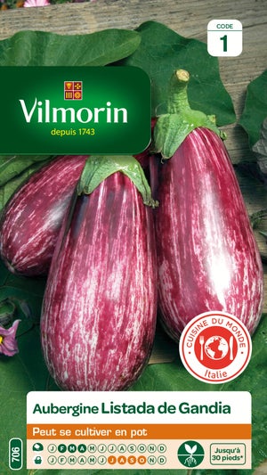 Graines de potager aubergine listada gandia VILMORIN 0.4 g