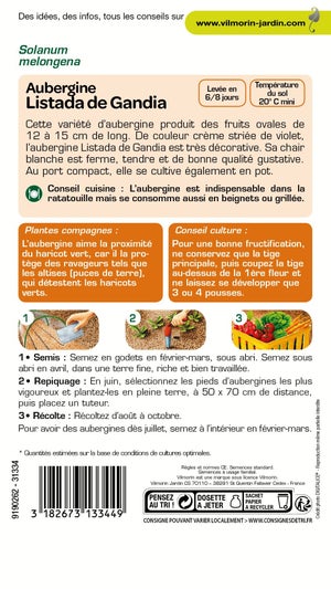 Graines de potager aubergine listada gandia VILMORIN 0.4 g