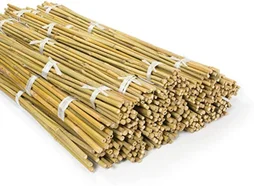 Tuteur bambou droit, IDEAL GARDEN, H.2.1 m