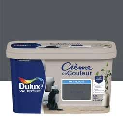Peinture mur, boiserie crème de couleur DULUX VALENTINE anthracite mat 2.5L