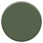 Peinture mur, Creme de couleur DULUX VALENTINE vert tropical satine 2.5 l